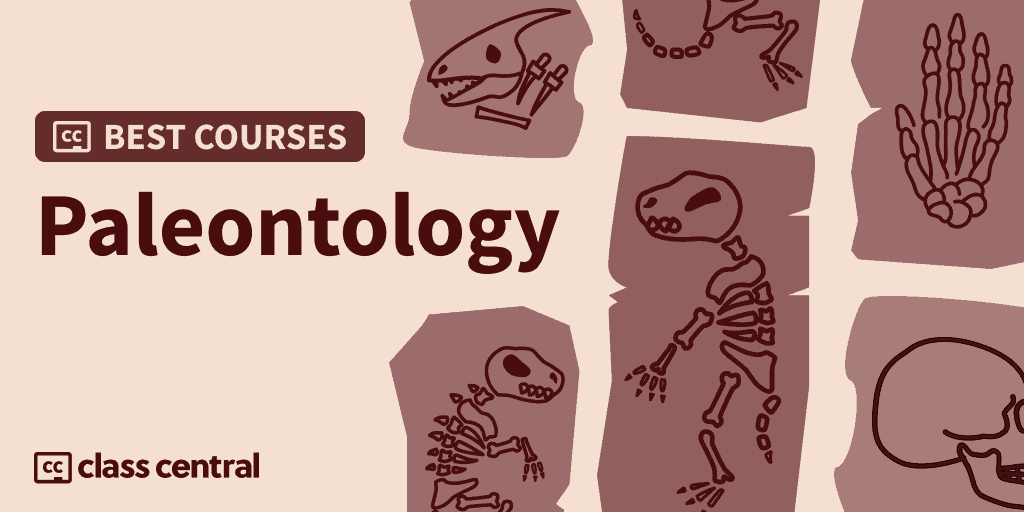 9 Best Paleontology Courses for 2024 — Class Central