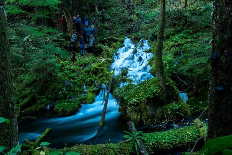 Scientists Discover a Massive Underground Water Vault in Oregon – 3x the Size of Lake Mead