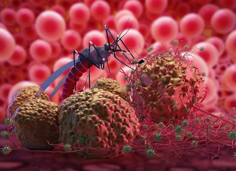 How Zika Virus Turns Brain Proteins Into Hidden Weapons